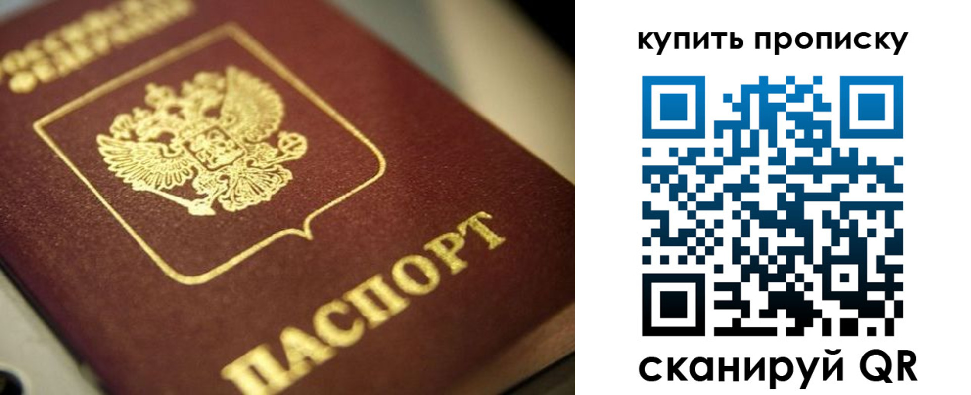 прописка поиск в Бердске